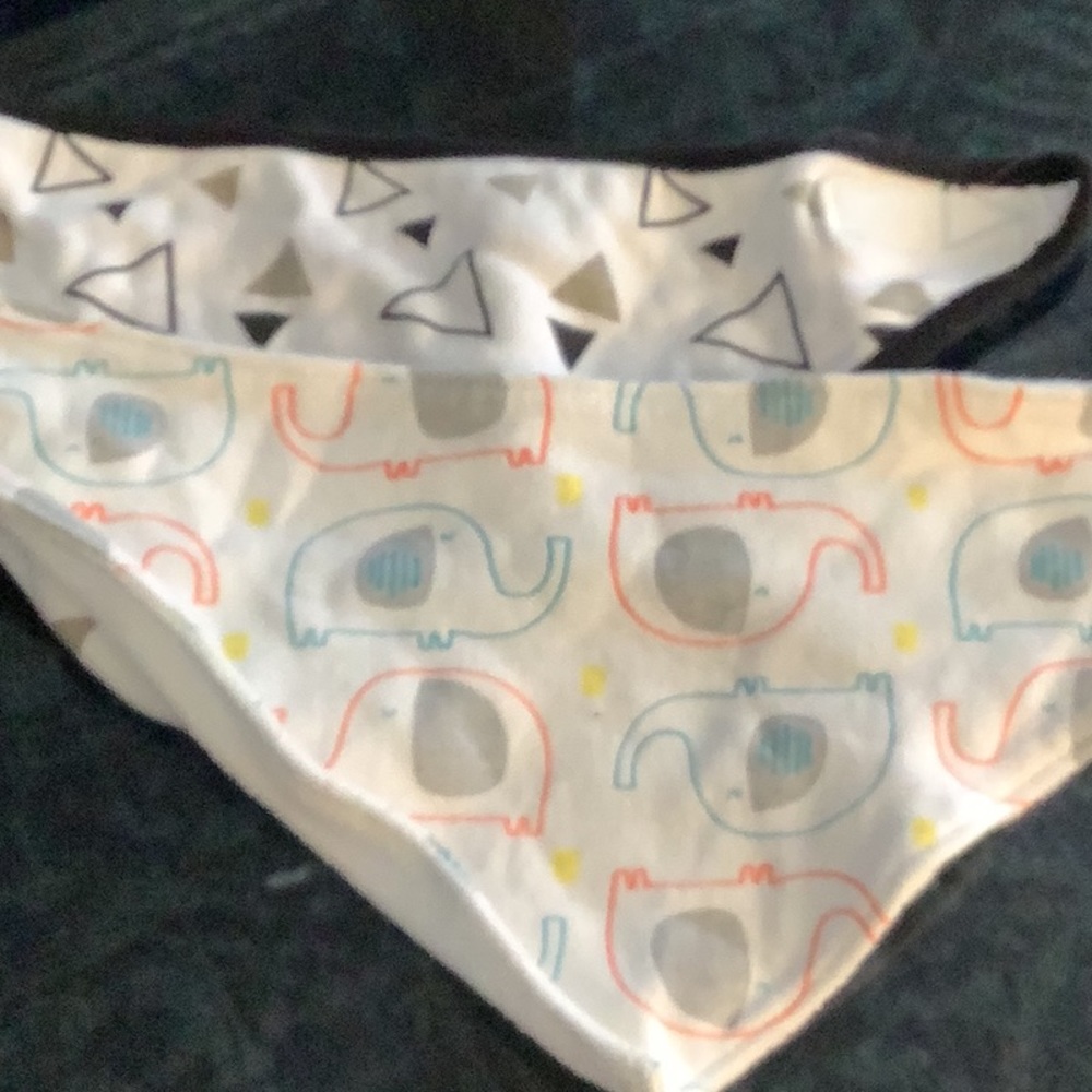 Set of 2 Bandana Bibs